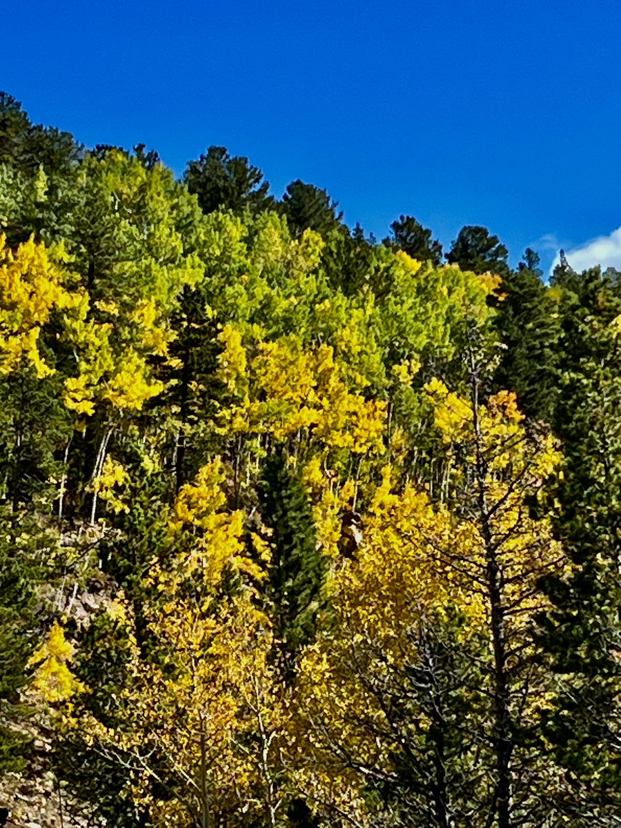 studentoflife tweet media