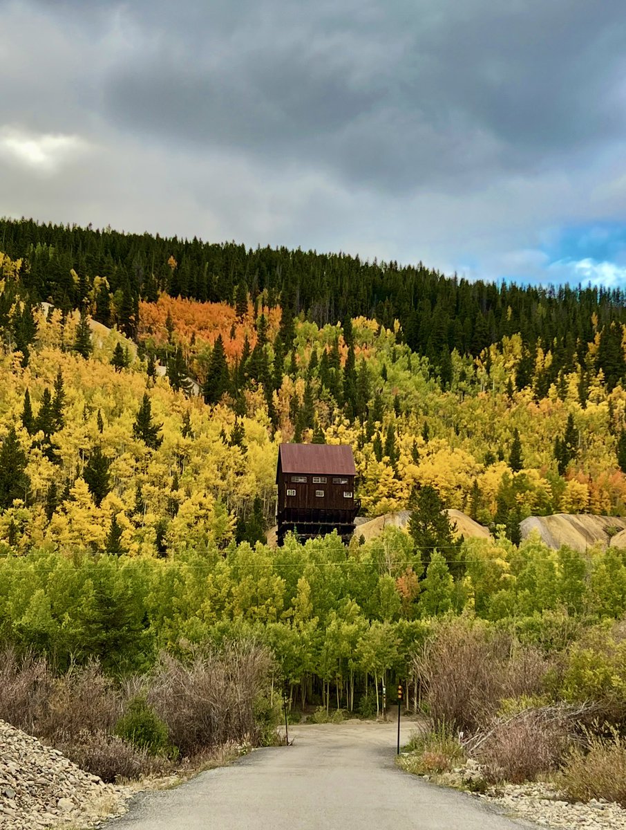 GrowTons7's tweet image. Yes, the colors are darn near peak right now around Breckenridge. Get leaf peeping!

#Colorado #Breckenridge #LeafPeeping
#FallFoliage