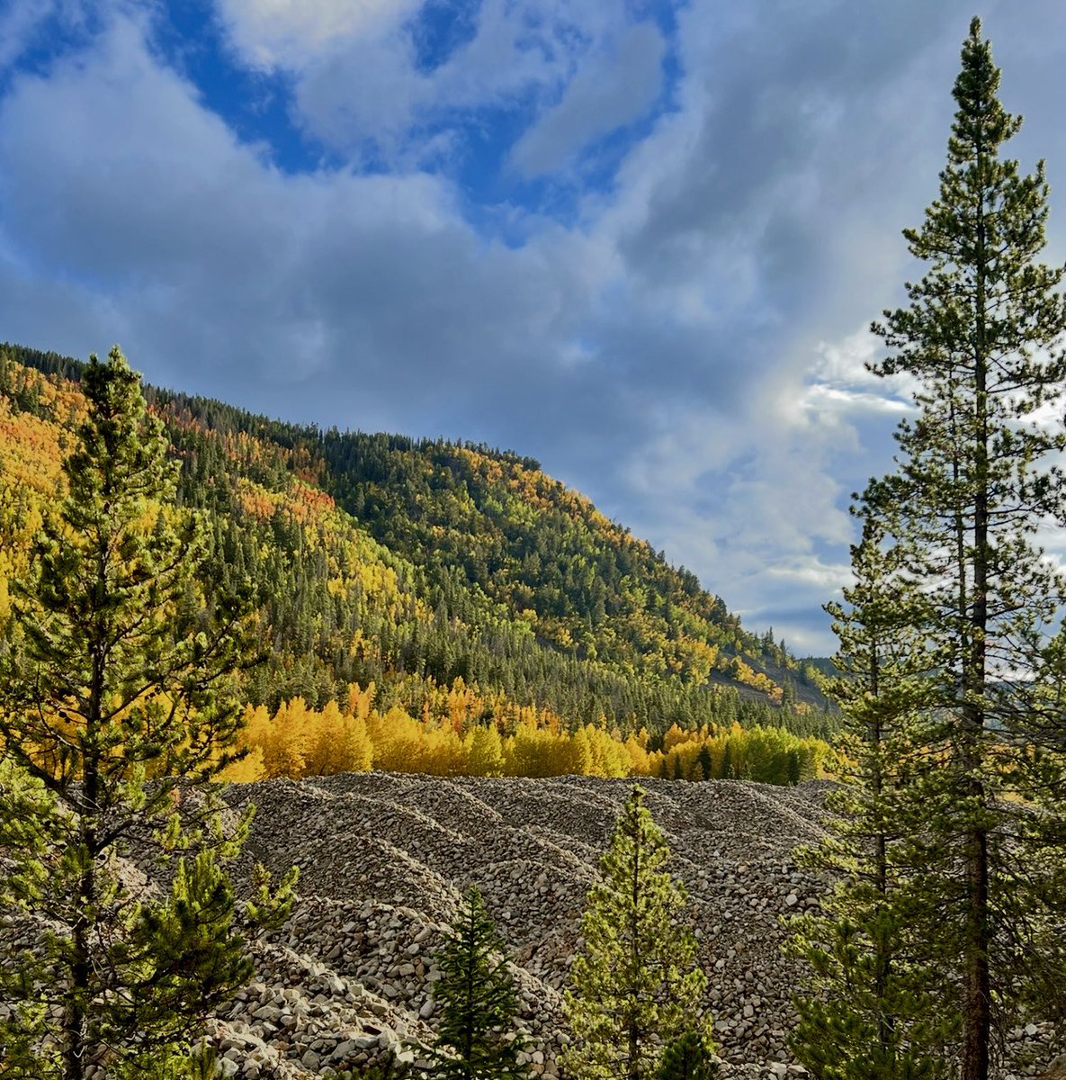 GrowTons7's tweet image. Yes, the colors are darn near peak right now around Breckenridge. Get leaf peeping!

#Colorado #Breckenridge #LeafPeeping
#FallFoliage