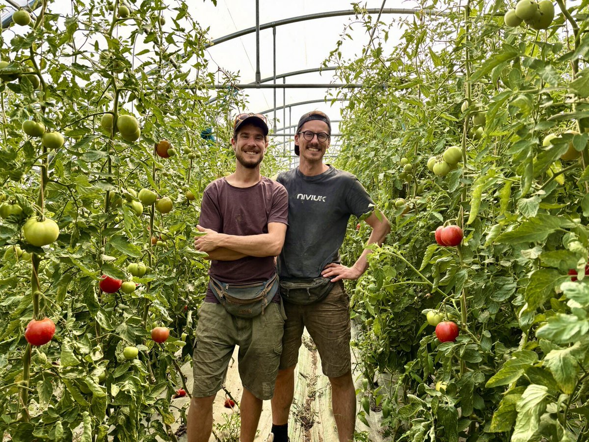leprogreslyon's tweet image. 🥬 « Les vers de terre sont plus nombreux » : ils ont testé le #compost né des #déchets des Grands #Lyonnais #Rhône
Notre article 👉c.leprogres.fr/economie/2025/…