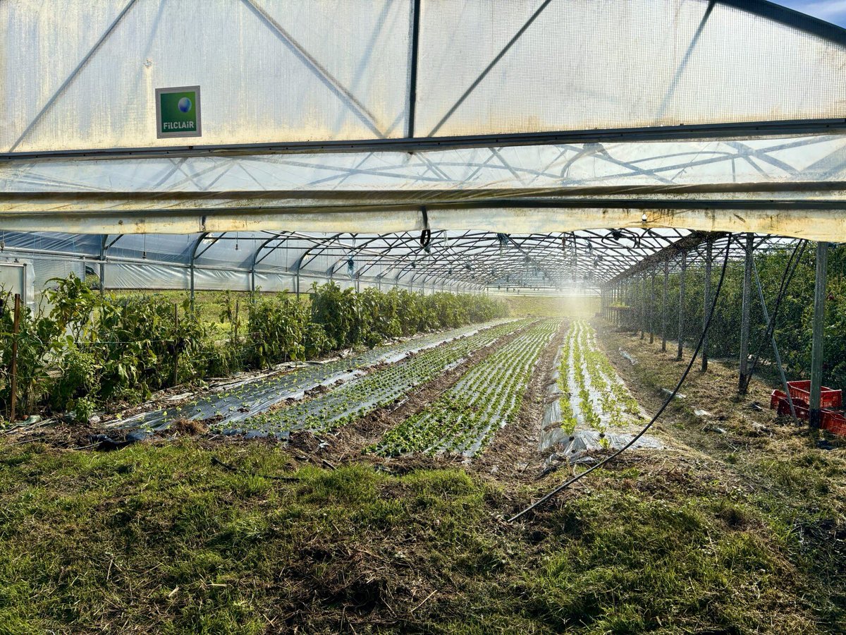 leprogreslyon's tweet image. 🥬 « Les vers de terre sont plus nombreux » : ils ont testé le #compost né des #déchets des Grands #Lyonnais #Rhône
Notre article 👉c.leprogres.fr/economie/2025/…