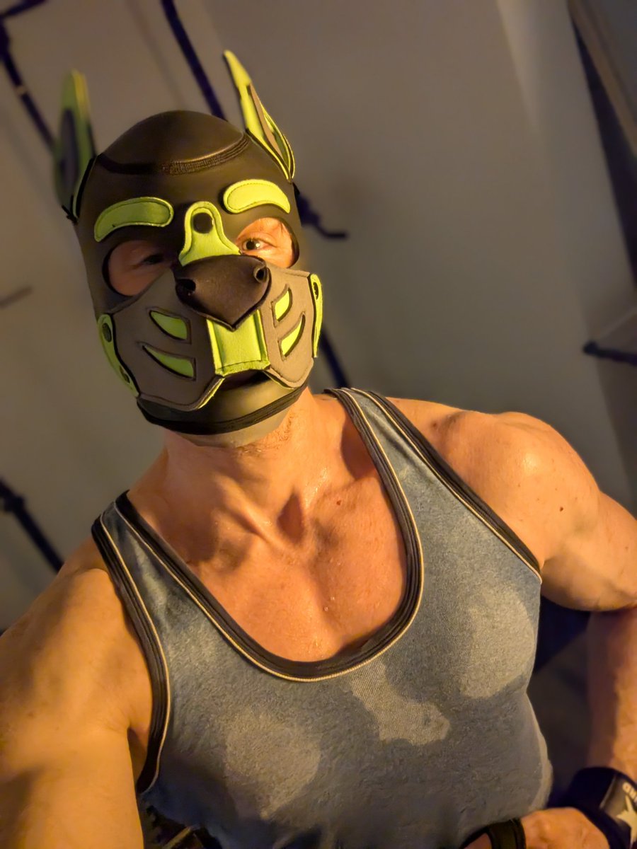 sciopup's tweet photo. Sweaty dog 💚 https://t.co/nL5uLPuIET