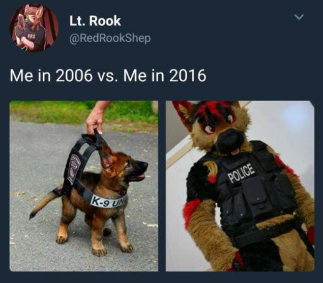 Furries_Na_Net's tweet photo. Eu sentiria medo https://t.co/UQcyijrI5t