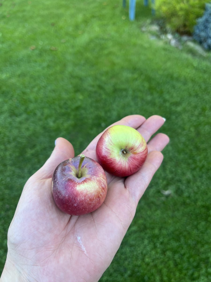 Podzim. A frnakovnik, dil druhy 😇 #NaJihu