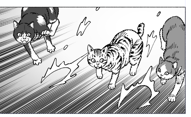 皆さま猫ちゃんの柄を提案してくれてありがとうございました!
右から ハチワレ キジトラ 鼻白ブチ にしてみました!
また困ったらよろしくお願いいたします! 