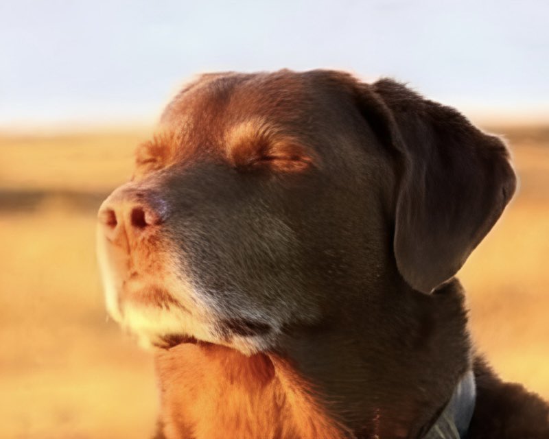 devstacksx's tweet image. Me &amp;amp; Ken got 1