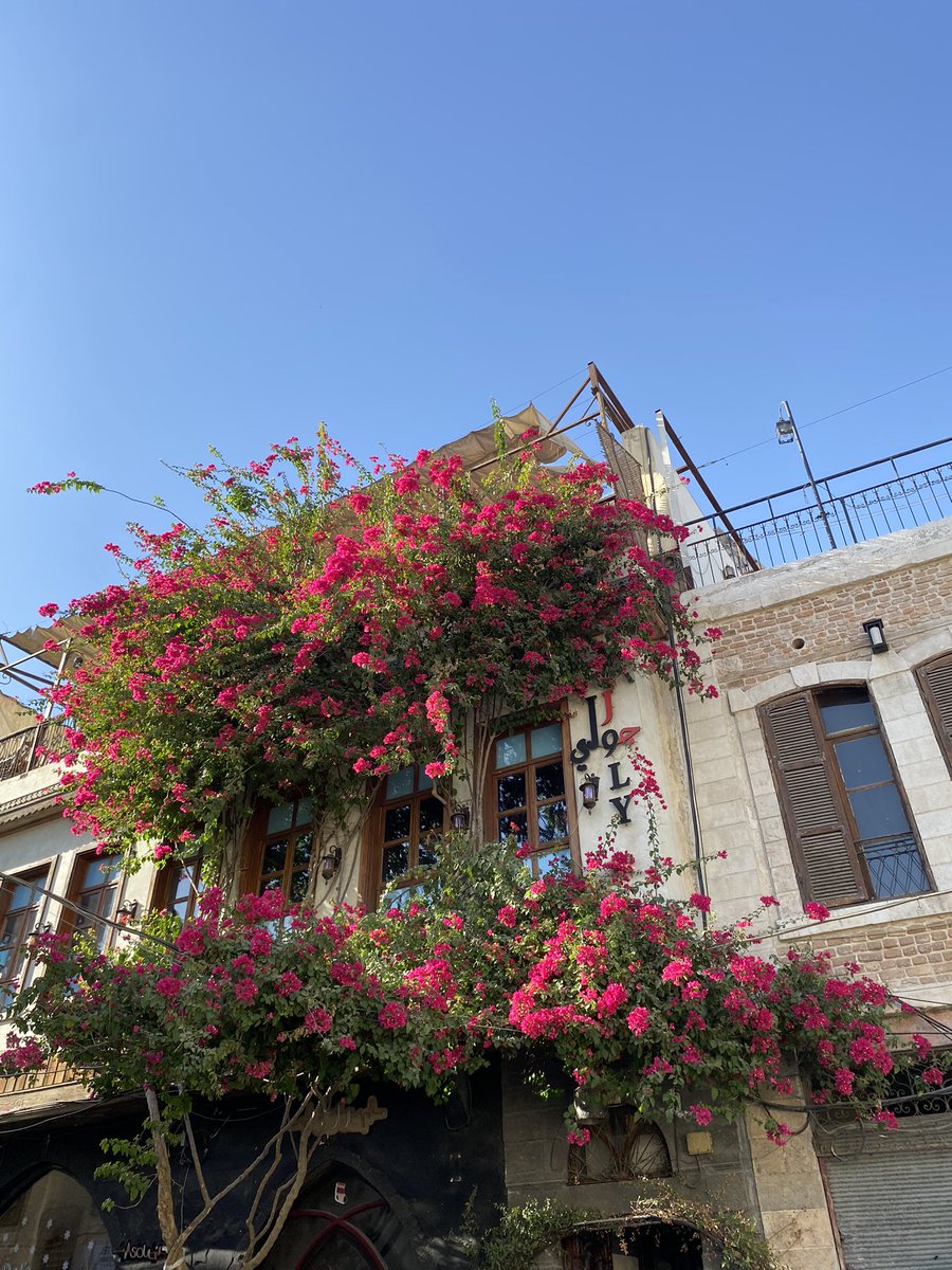 daadghorsii's tweet photo. رابع يوم https://t.co/xCKmDb0xnF