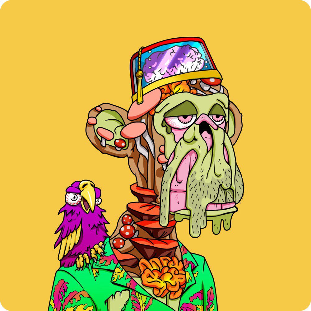 Zuri 🇵🇹 tweet media