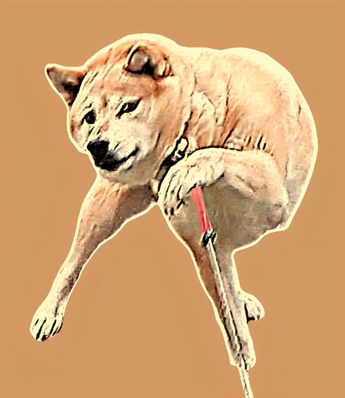 🎉 OFFICIAL $REBL MEME CONTEST! 🎉

Design Rebel Key #2 &amp; WIN CRYPTO!

We’re launching a meme contest to choose the OFFICIAL IMAGE for Rebel Key #2 NFT!

🏆 PRIZES:
🥇 1st Place: $20 in SOL (or $REBL equivalent) + Your meme used for Rebel Key #2
🥈 2nd Place: $10 in SOL (or $REBL