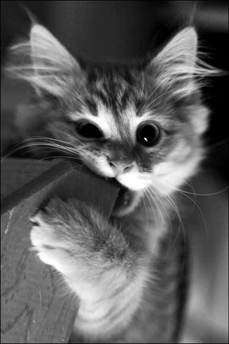 We live ppl. Support is needed and much appreciated! Come say hi and play me some music pleaaase!

kick.com/sanjiliii

#pickkick #kickstream #kickstreaming