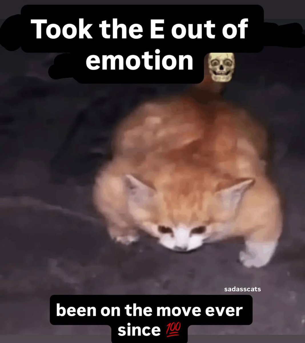 literallymecats's tweet photo. https://t.co/11GI7xbbcP