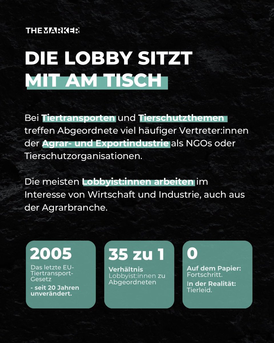 Während in Brüssel über ein neues Tiertransportgesetz verhandelt wird, sitzen nicht nur Abgeordnete am Tisch, sondern auch tausende Lobbyist:innen. Ihr Einfluss ist groß, doch politische Entscheidungen orientieren sich oft an der öffentlichen Meinung, wenn sie laut genug ist.