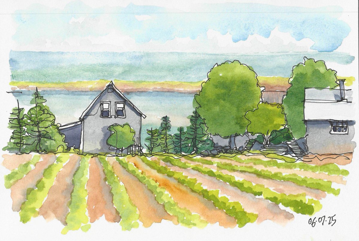 NelsonRice3's tweet photo. Springbrook PEI ❤️ sketched in PEI in July, painted today
(128/263)
#draw #drawing #sketch #sketching #pleinair #painting #watercolorsketch #watercolor #watercolour #watercolorpainting
#lineandwash #penandwash
#seascape #farmscape #princeedwardisland #springbrook https://t.co/LEzGD5c5dz