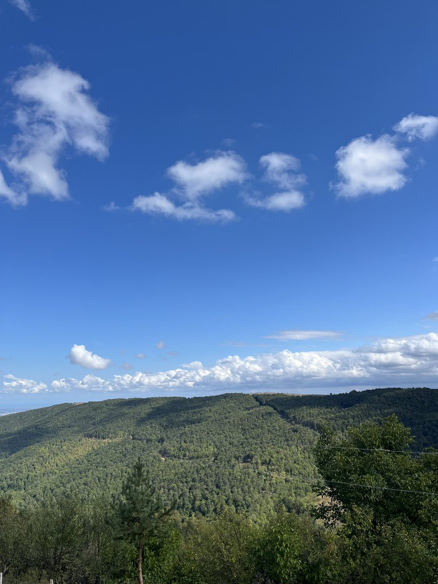 Yerle gök arasında, bir yerde