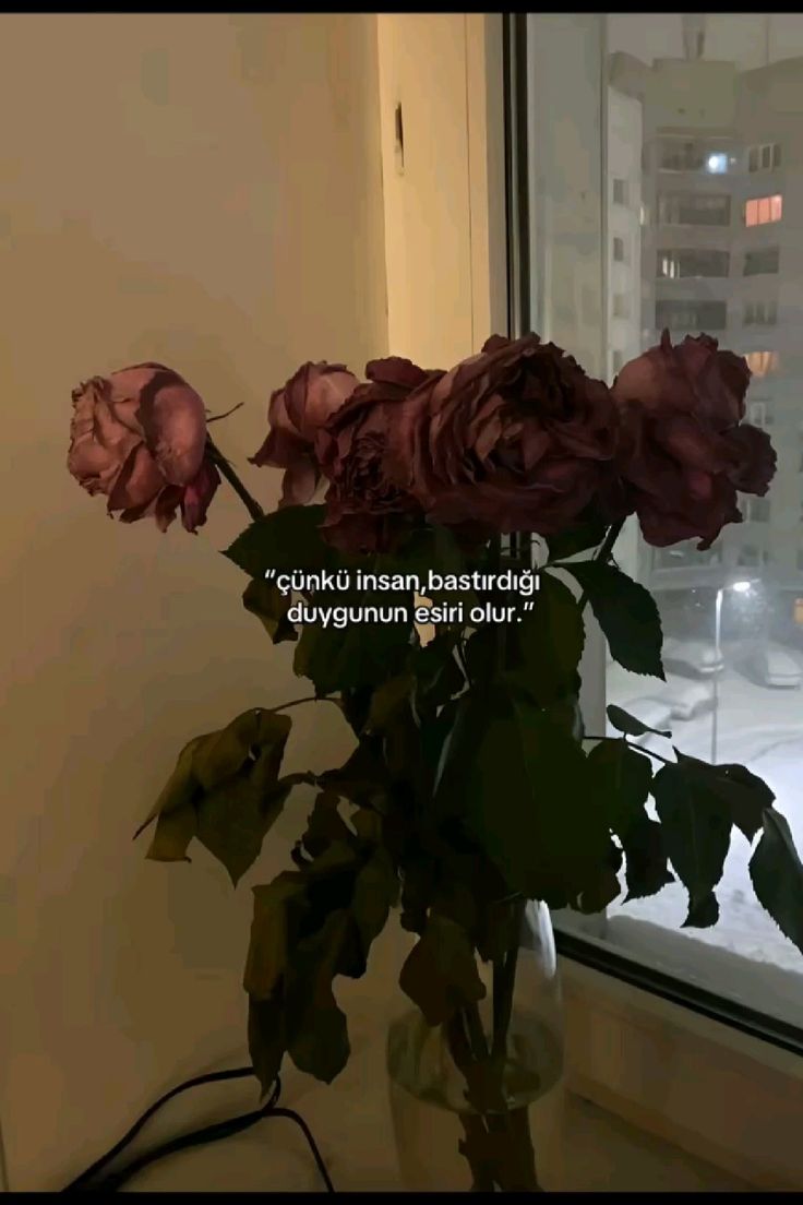 Burak ' (@burakbisakin) on Twitter photo 