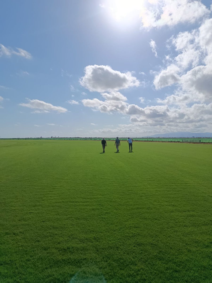 Novogreen tweet media