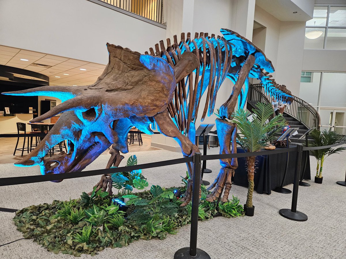 CTF_dinos's tweet photo. Having a great weekend with the ICR scientists and staff in Lafayette, LA! https://t.co/eJiX1Op3vw