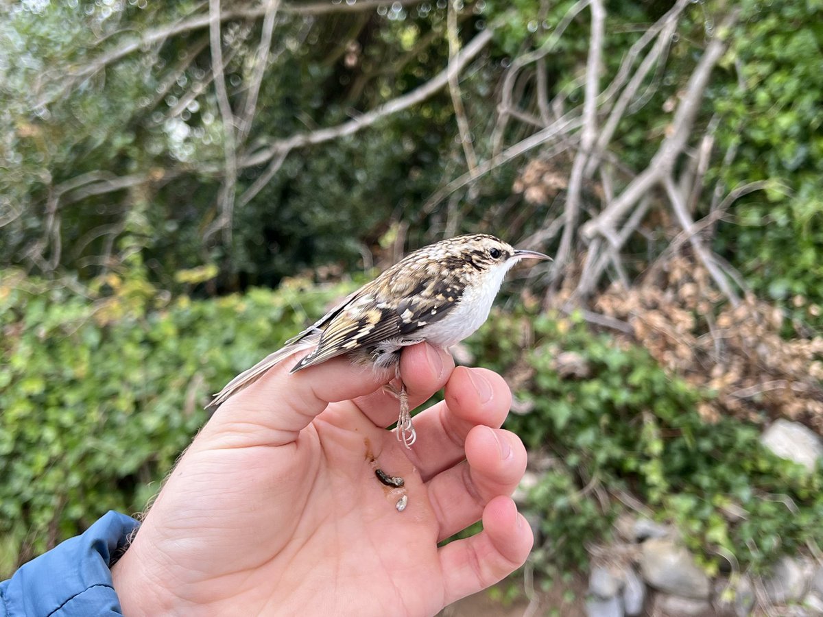 Matt Eade tweet media