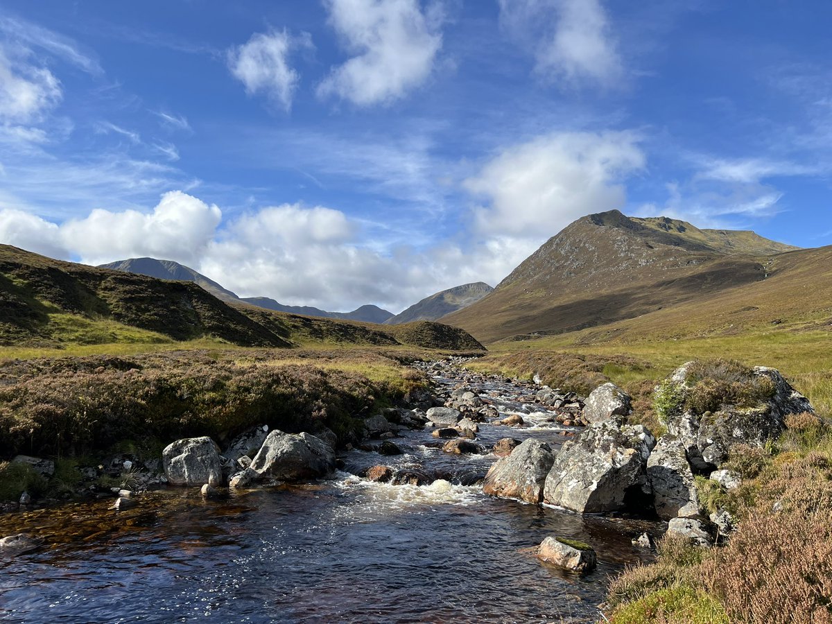 Matt Eade tweet media