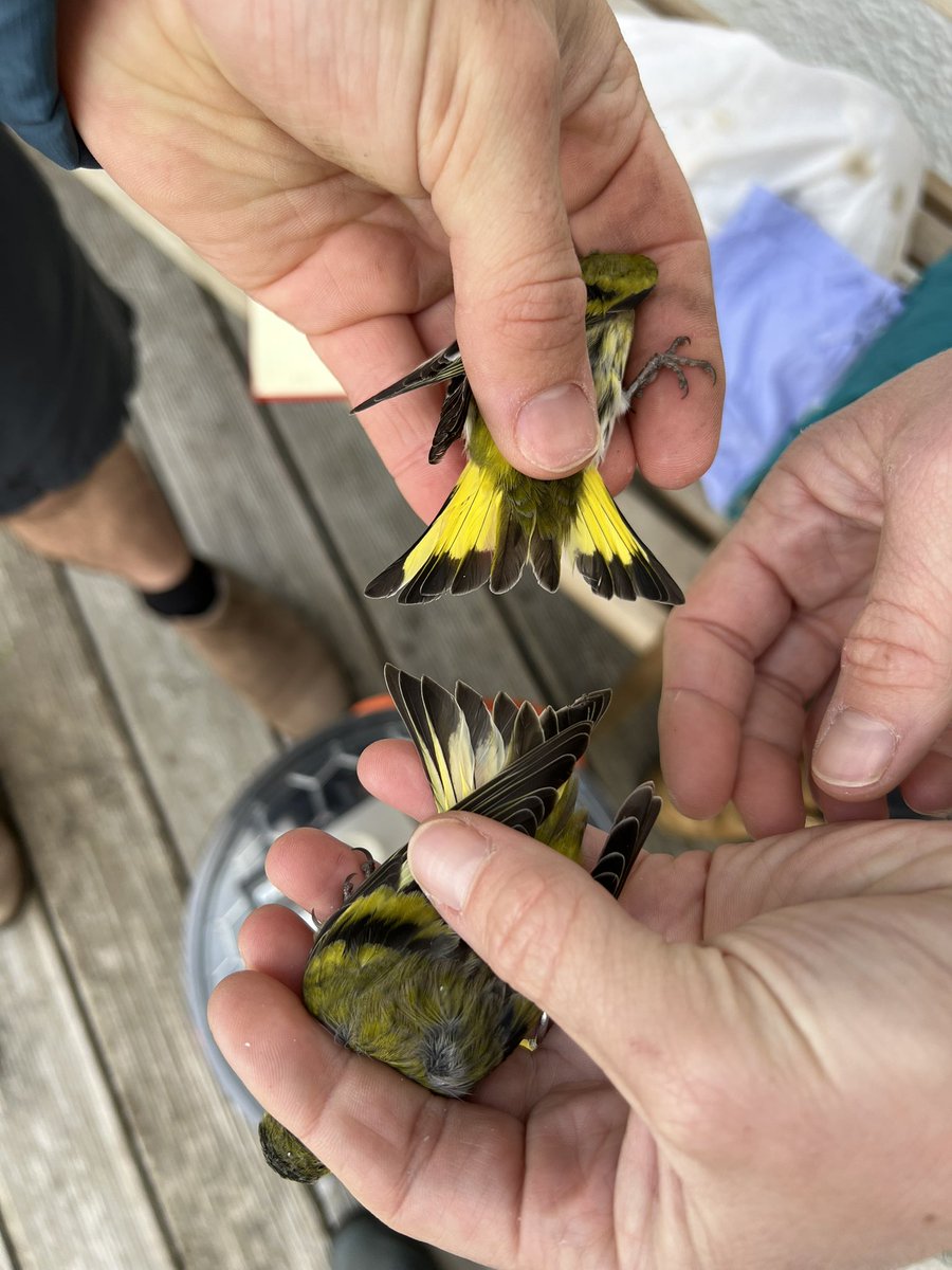 Matt Eade tweet media