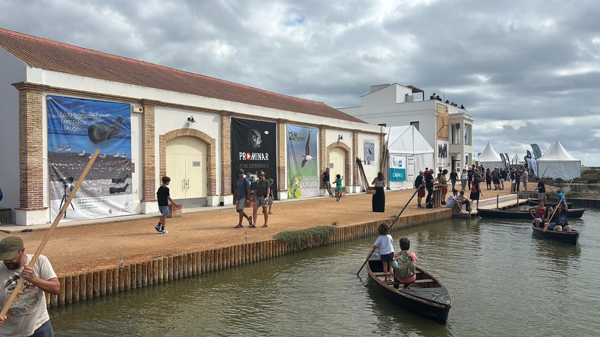 Novogreen tweet media