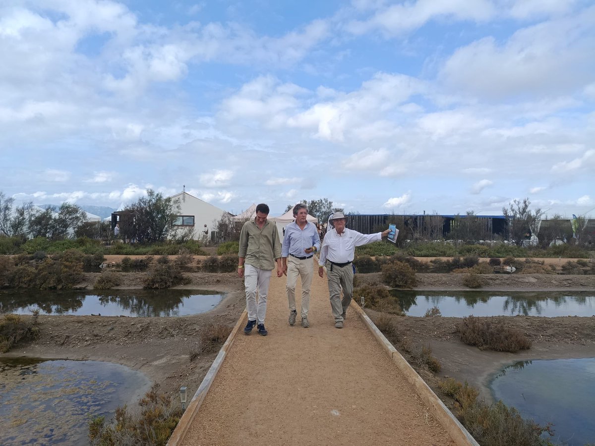 Novogreen tweet media