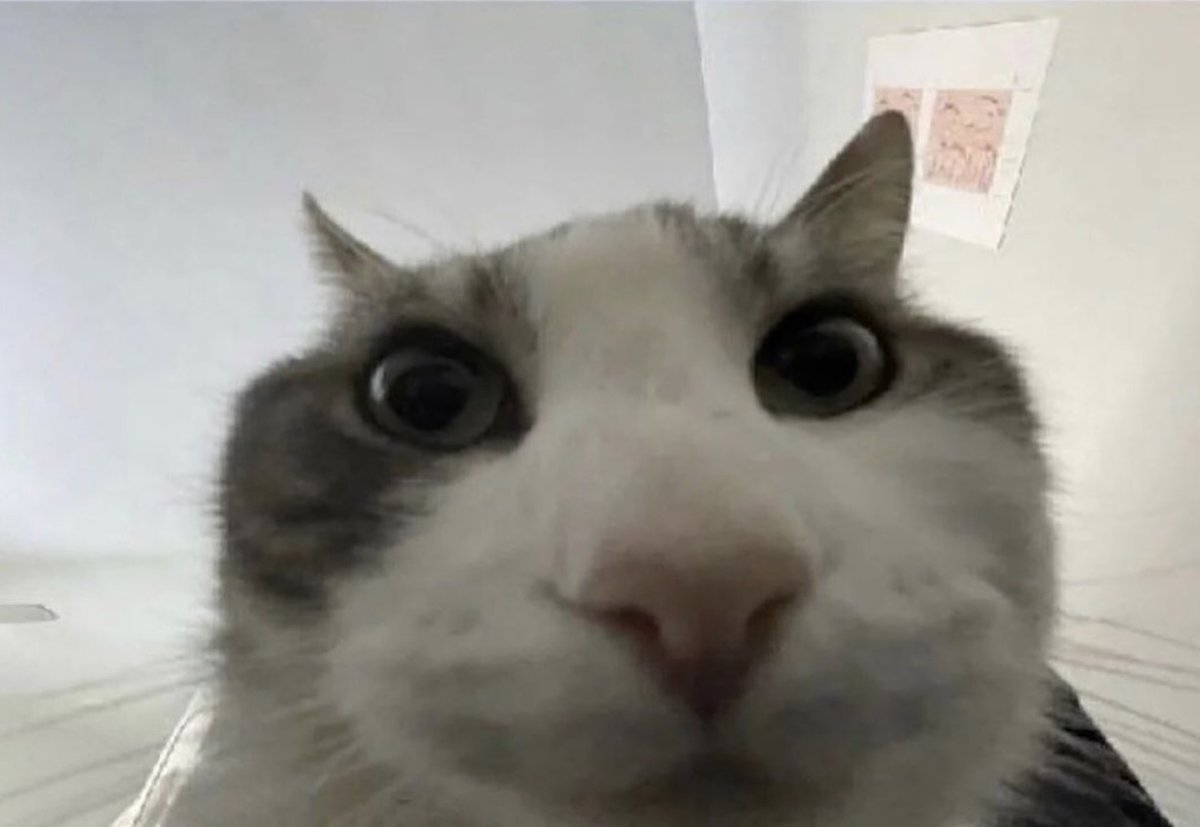 &gt;Polish Empire
&gt;look inside
&gt;Indian