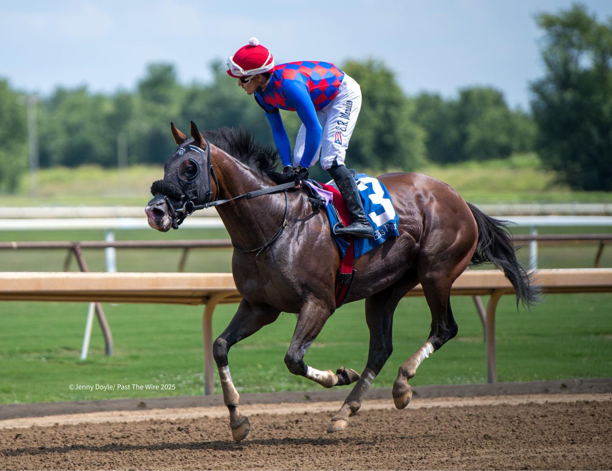 This Is Uscar runs <a href="/ChurchillDowns/">Churchill Downs</a> Saturday in The Ack Ack with Morales up for Table 38 Racing @elioth77 &amp; <a href="/KatieRichFarms/">KatieRich Farms</a> 🐎🐎🐎