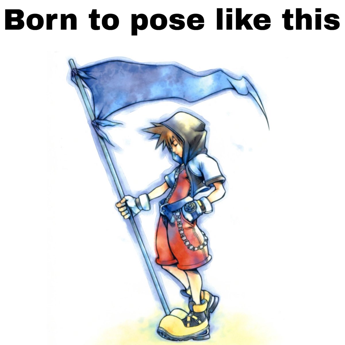 Sora (@kingdomheartguy) on Twitter photo 