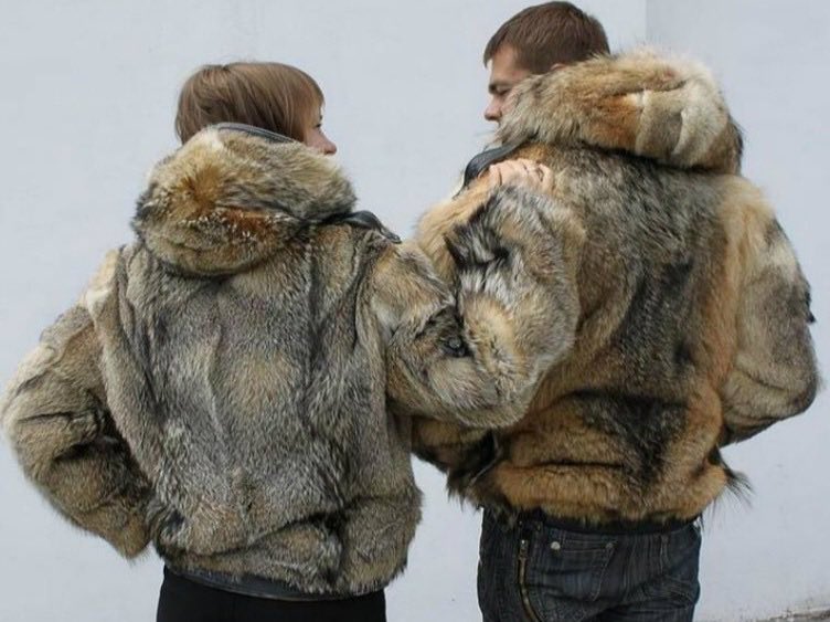 diegofye's tweet image. 