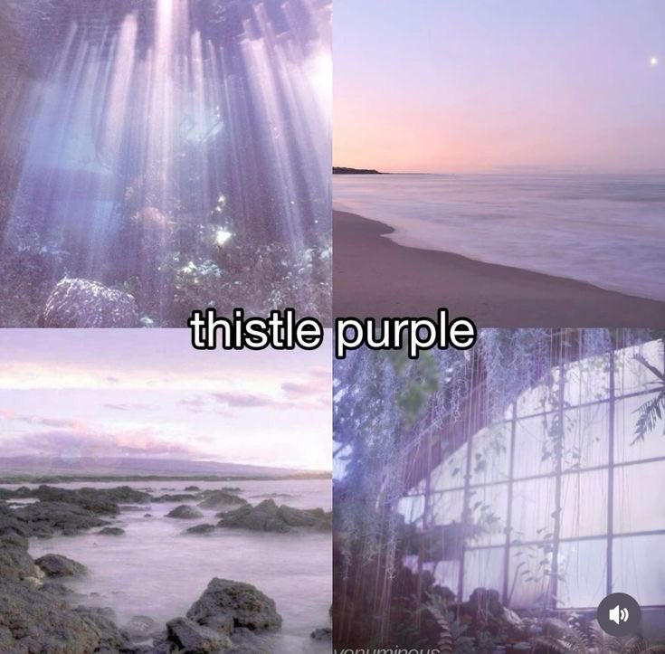 violet✧*｡ tweet media