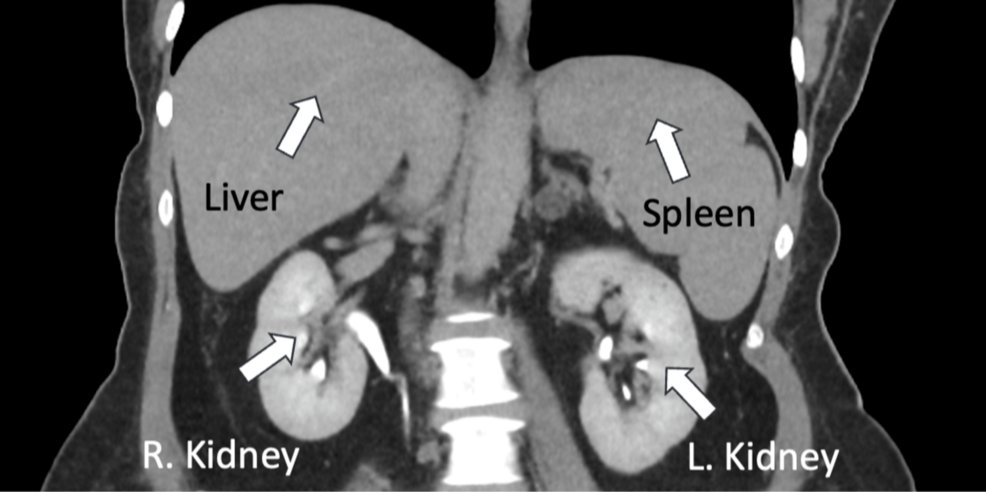 Cureus Dermatology tweet media
