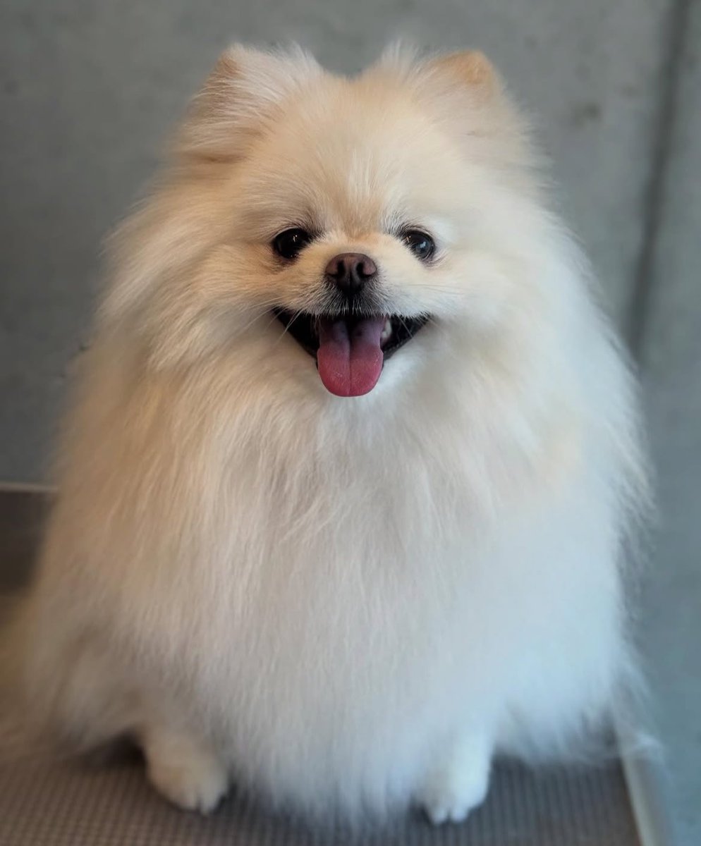 堀一也 Kyoya