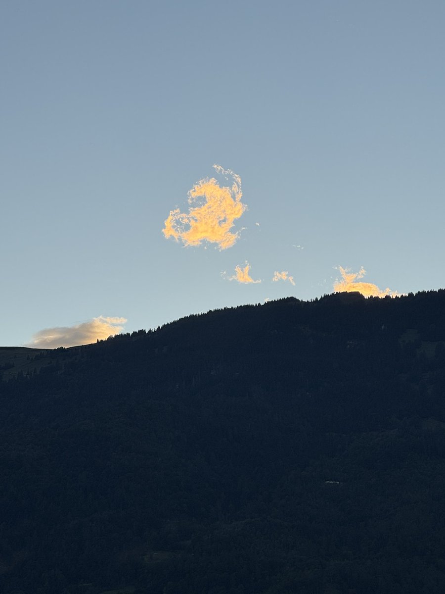 editsc's tweet image. Abendstille überall