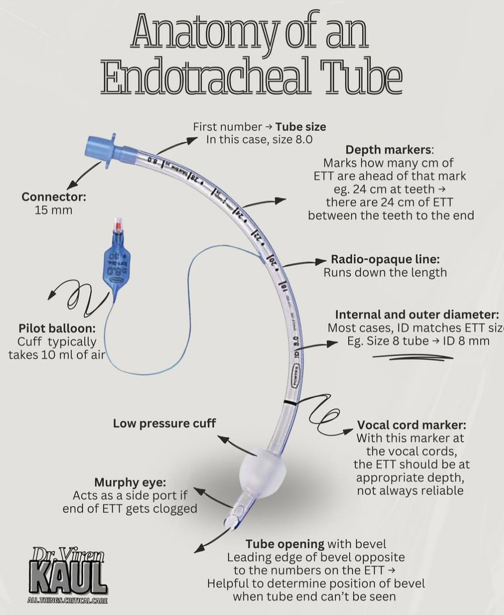 Dr sthanu subramanian (@drsthanus) on Twitter photo Anatomy of the endotracheal tube...
instagram.com/p/DO0tcfwkeZn Anatomy of the endotracheal tube...
instagram.com/p/DO0tcfwkeZn