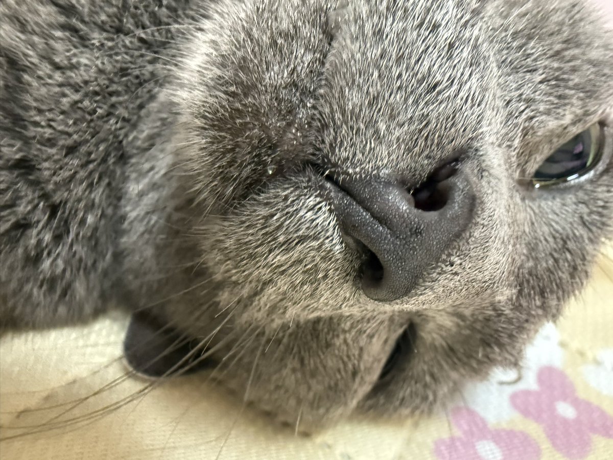 潤んだ瞳と
キラリと光る一粒のダイヤ💎付き唇
大好物なんだろ！
奥さん😼✨