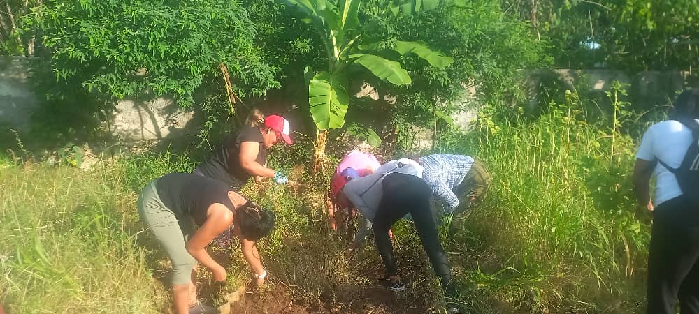 #Cubasol y #Palmares Centro se unen  en trabajo voluntario en el Organopónico de 25 y 146 en Playa por el 30 Aniversario del Sindicato Nacional de Trabajadores de Hotelería y Turismo.
Un homenaje también a nuestro Comandante. 
#ElDestinoEresTú 
#100AñosConFidel
#CrecemosJuntos