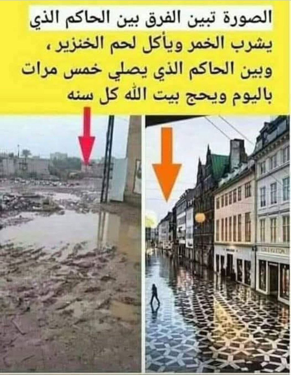 EveSamo90's tweet image. 