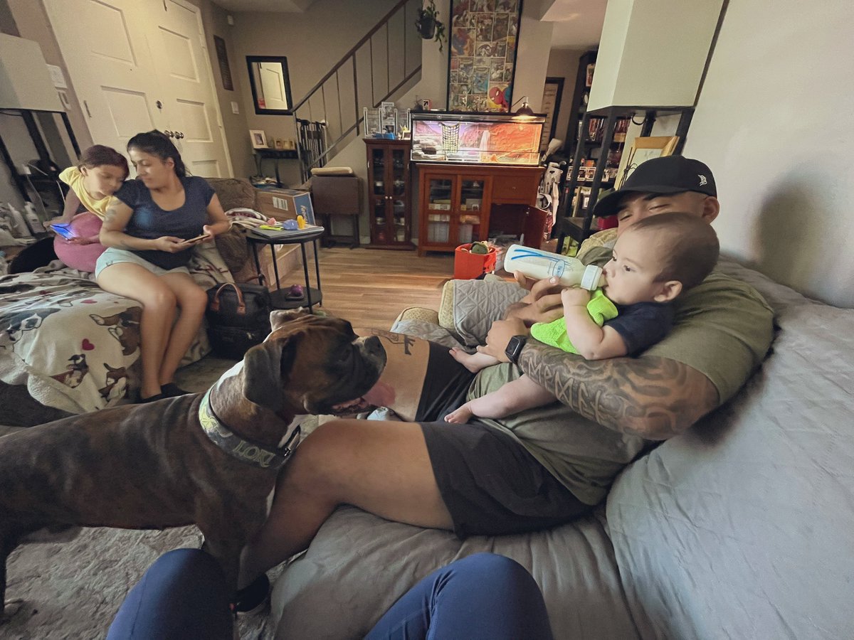 Glamazon72's tweet image. Nothing more precious than my granbaby w/ Loki. They are enamored w/ each other 🥰😇
Boxers are the BEST w/ babies 🫠
#Boxer #BoxerLife #boxersoftwitter #Loki