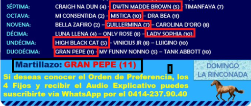 cosasdeiglesias's tweet photo. Seguro que mis "6 caballos" hubiesen pagado mucho más si no fuese tan imbécil de compartirlos con el montón (6.000) de malagradecidos de esta maldita Red antisocial...
¡Ni un "like" te devuelven los hdps!
¡Por eso tienen lo que merecen! https://t.co/d5UfjBfJ1e