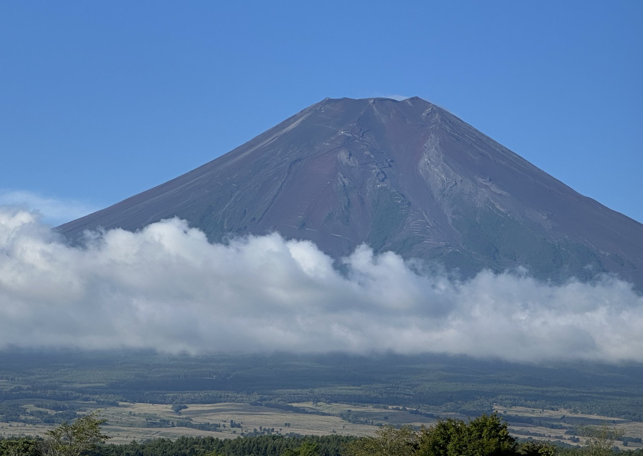 A2✨白龍と富士山 ✨ No. 10 虹の不死鳥No.5 【 宇治るぽさま専用】 白鳥山／富士山眺望コース／やまなしハイキングコース100選