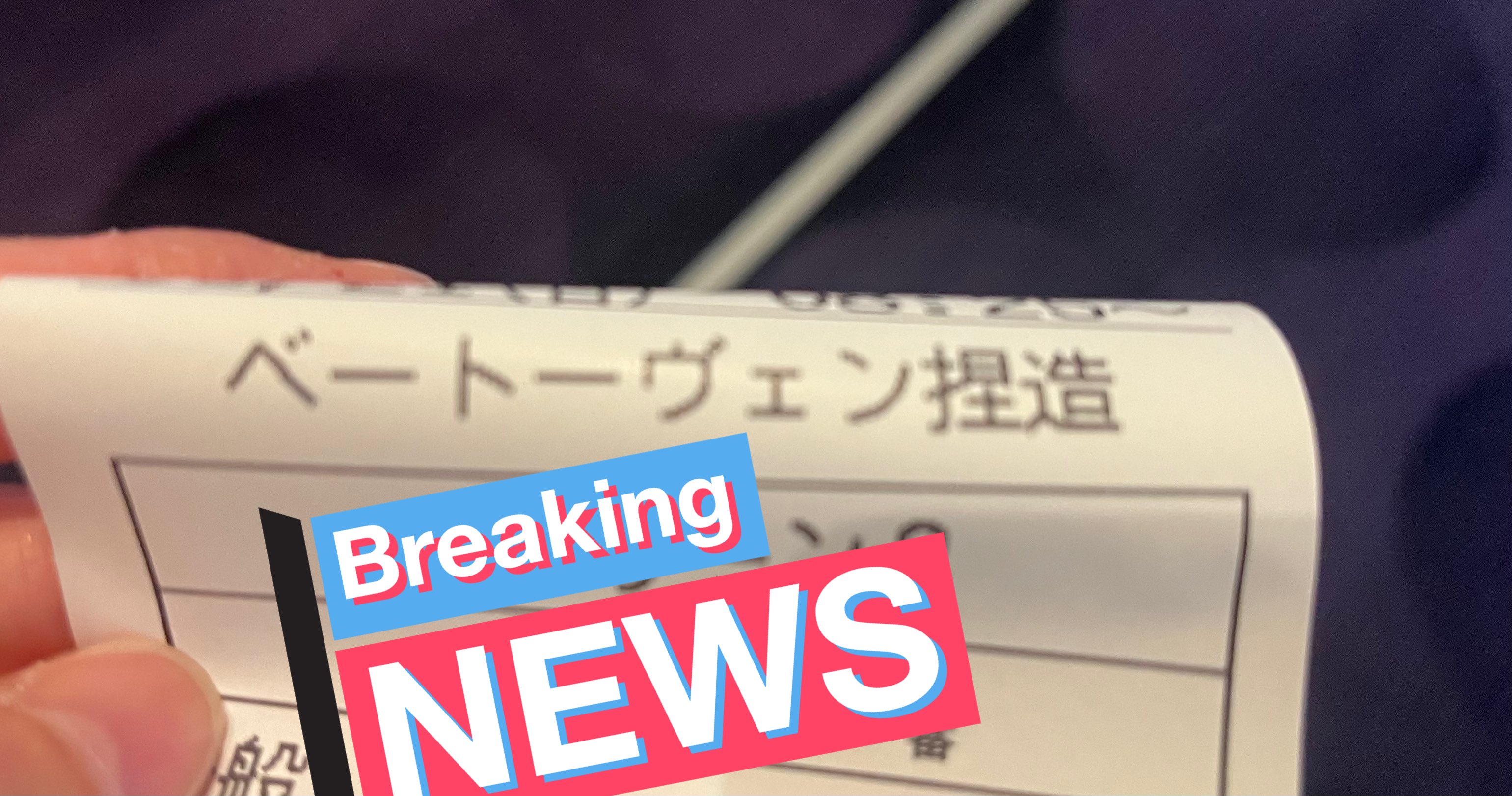 小鳥遊様ご確認ページ 小鳥遊ぺんぎん on X: 