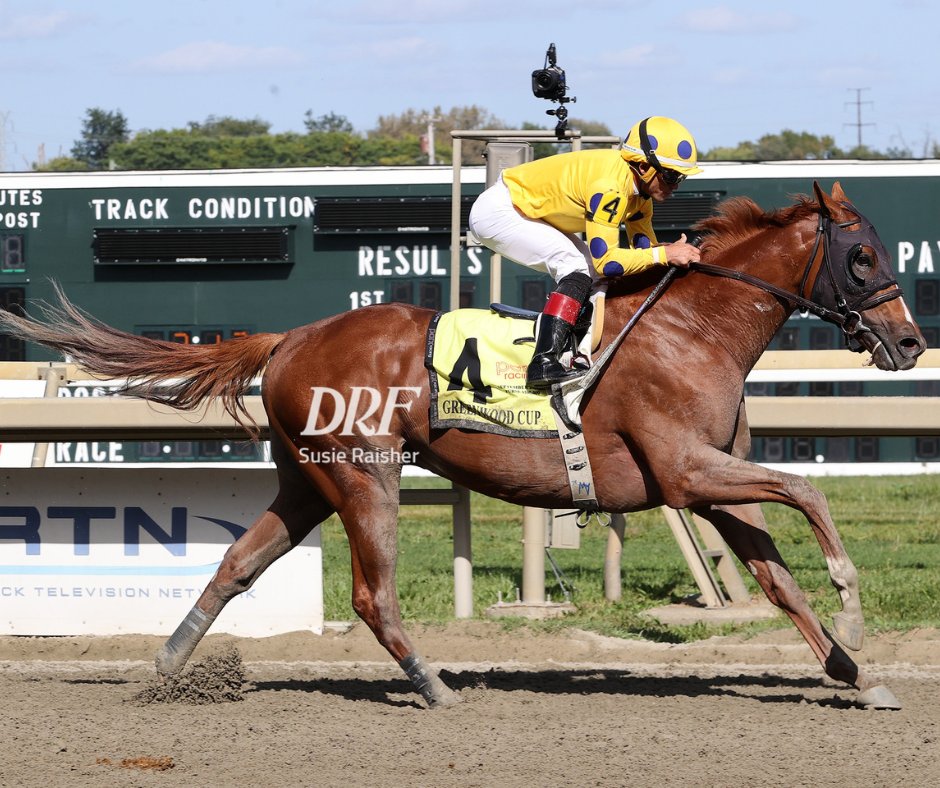 🏇🏇🏇Some great shots of No Bien Ni Mal (Brz) winning The Grade 3 Greenwood Cup Stakes <a href="/parxracing/">Parx Racing</a> . 

📷 Barbara D. Livingston <a href="/DRFLivingston/">Barbara D. Livingston</a>
📷 Debra A. Roma <a href="/NYdroma/">Debra A Roma</a>
📷Susie Raisher <a href="/ponyace/">Susie</a>