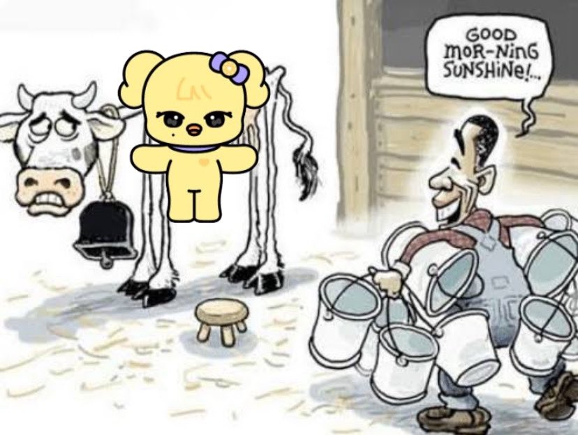 O acervo