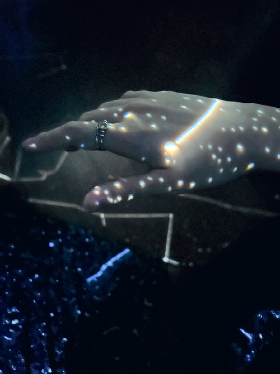 おはみやです🔅
星にうっとり波宮です🌌

兼ねてから一緒に行きたいねと言っていたBarへ、友人と赴いた昨夜のこと🍸

星空を楽しみつつ過ごせて大変素敵時間だったので、大阪に赴く際はぜひ行ってほしいところ😉

今日もゆるゆるやっていきましょ〜🌸