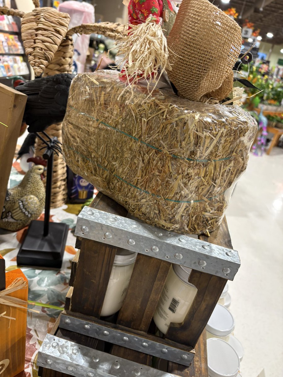 <a href="/gavin_spoor/">Gavin Spoor</a> Another higher value crop!