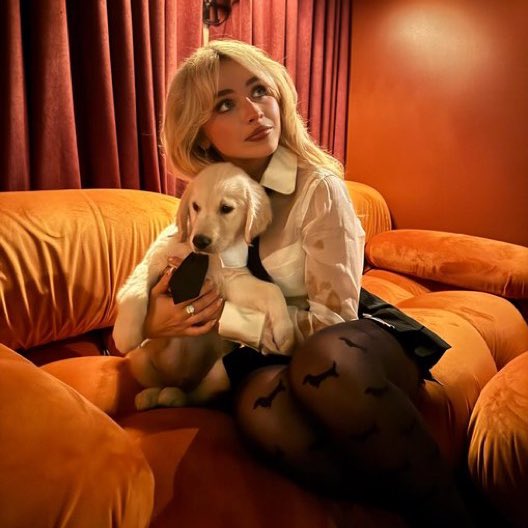 cupckebatter's tweet image. i love this vibe idk.