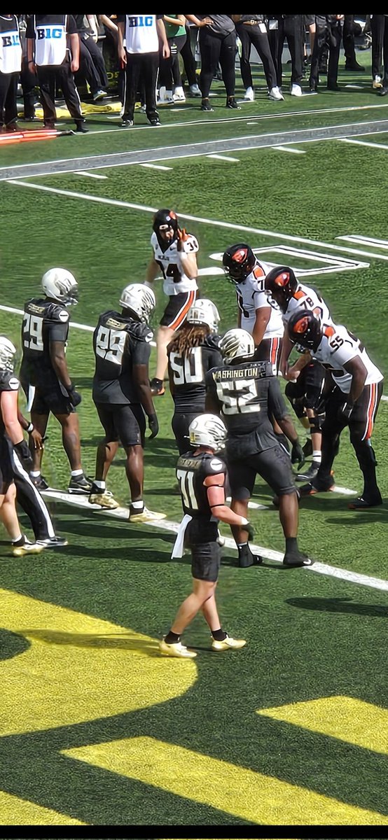 AnnePercell's tweet photo. @chandler_wolves @MauriWashington We see you #52 at OREGON today!!! Go Wolves alum/Oregon Duckssss https://t.co/r3w4YLwrfM