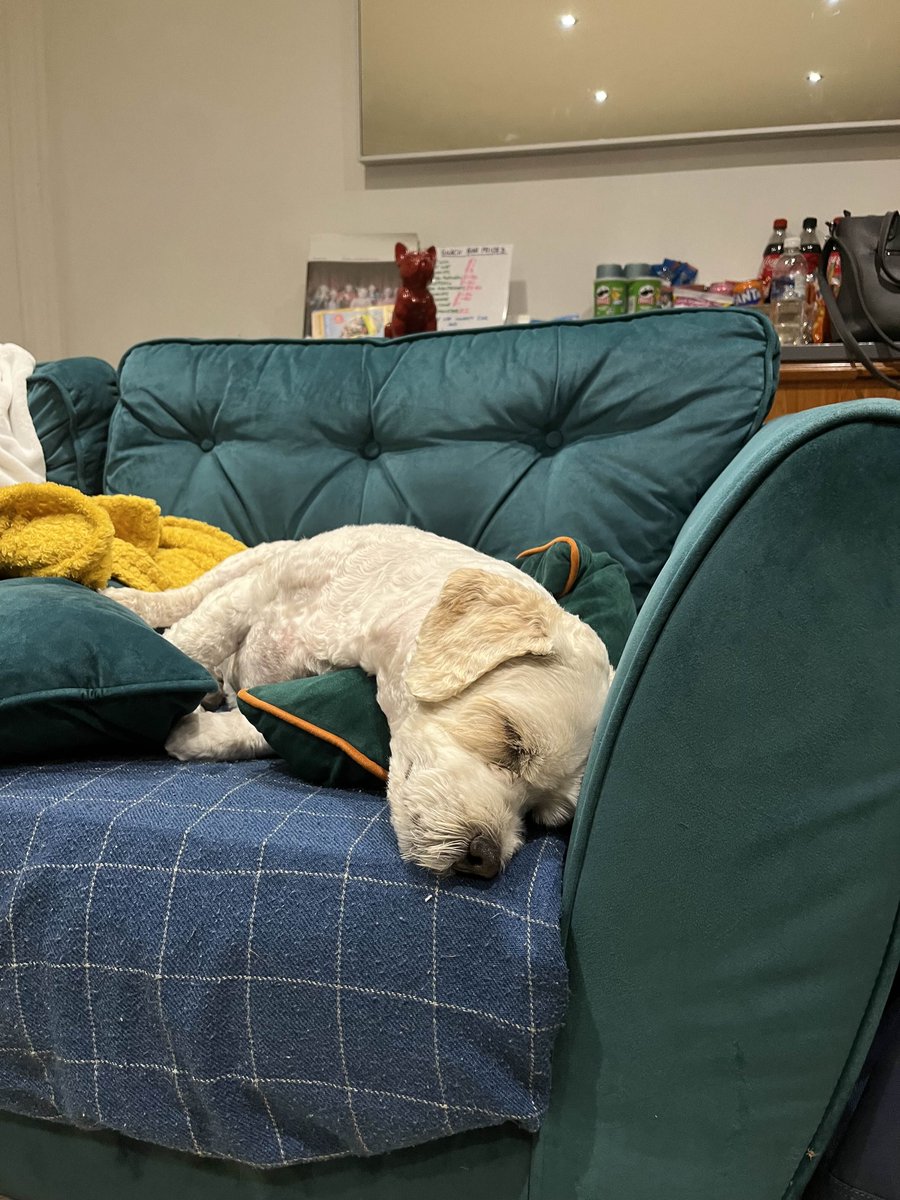 gracelyn tweet media