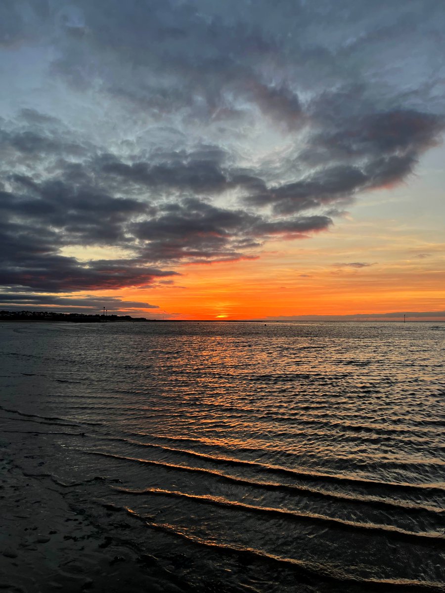 gracelyn tweet media